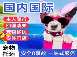 芒市机场物流国际宠物托运 【国
